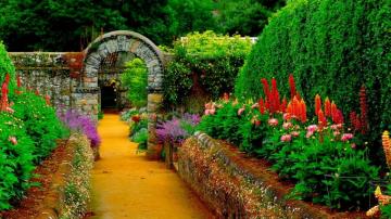 Country Garden Wallpaper In Nature