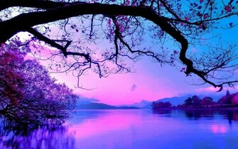 Lavender Mountains Nature Purple Reflection Sky Tree Violet Wallpaper