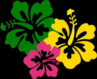 Hawaiian Flower Wallpaper Pictures