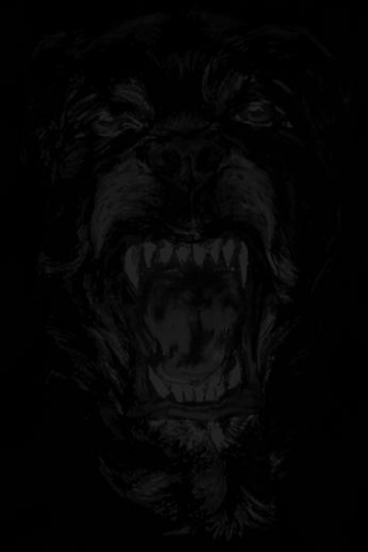 Them Slighly Adjusted To The Correct iPhone Wallpaper Size Retina