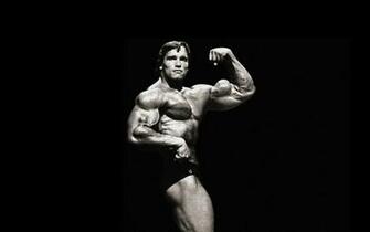 Pics Photos Arnold Schwarzenegger Cars Usa Wallpaper