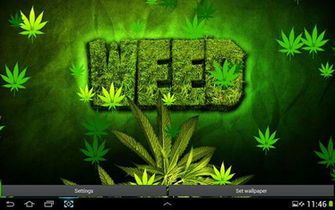 Weeds Wallpaper Weed HD