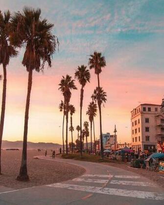 Wallpaper Beautiful Pink Sunset At Venice Beach Los