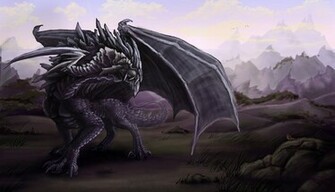 Black Dragon Computer Wallpaper Desktop Background Id