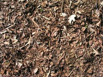 Wood Chips Wallpaper