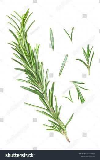 Rosemary Twig And Leaves On A White Background Top