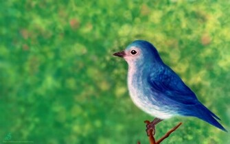 Liitle Blue Bird Wallpaper By Subhrajitdatta