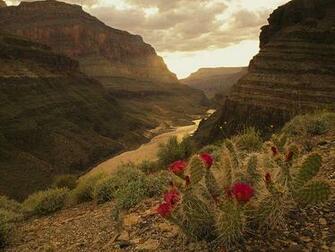 Canyons Photos National Geographic