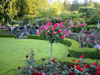 Rose Garden High Quality And Resolution Wallpaper On