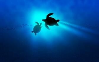 Create New Layer Under Mom Turtle And Draw The Bubbles As