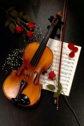Violin Rose iPhone Wallpaper