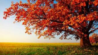 Desktop Wallpaper HD Itc Sales