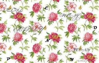 Peony Flowers Nature Inscriptions Letters Wallpaper Photos