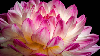 4d Ultra HD Wallpaper