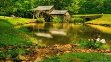 Nature Scene Wallpaper Group