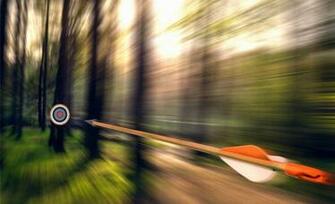 Wallpaper Arrow Target Weeds Archery Tree Forest Desktop