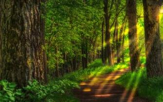HDr Wallpaper And Background Image Id