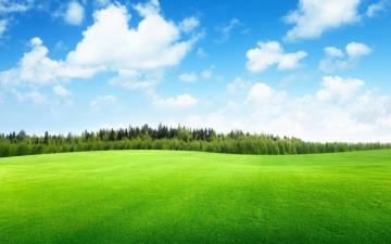 Beautiful Green Landscape Wallpaper HD