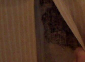 Mold Behind Wallpaper
