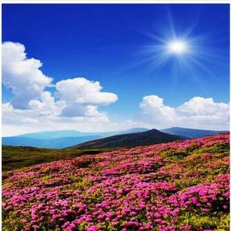 Amazon Xbwy Custom 3d Photo Wallpaper Scenery For Walls