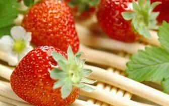 Strawberries Wallpaper
