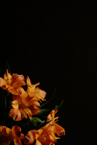 A Vase Filled With Orange Flowers On Top Of Table Photo