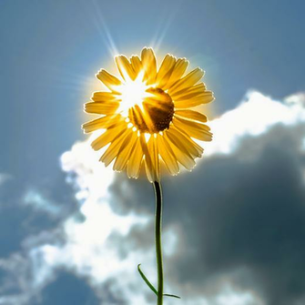 iPad Wallpaper Voor En Mini Resolutie