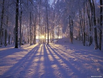 Wallpaper Nature Winter Wonderland