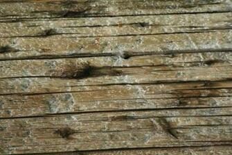 Distressed Wood Wallpaper Texture Pack