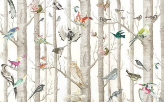 Bird Wallpaper For Home