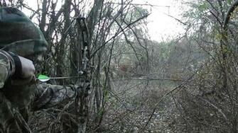 Bow Hunting Archery Archer Arrow Weapon Wallpaper