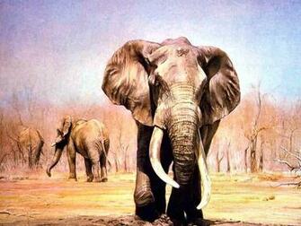 Indian Elephant Pictures HD Wallpaper In Animals Imageci