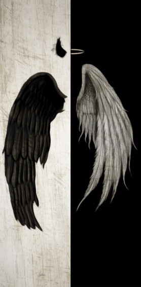 Black And White Aesthetic Angel Devil Wings Wallpaper