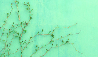 Mint Green Wallpaper