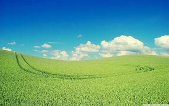 Green Crops Ultra HD Desktop Background Wallpaper For 4k UHD Tv