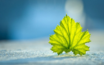 Best HD Wallpaper