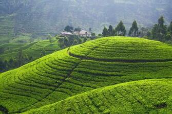 Sri Lanka HD Wallpaper Background Image