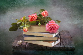 Pink Flower Rose Shell Book Photography Still Life HD Wallpaper