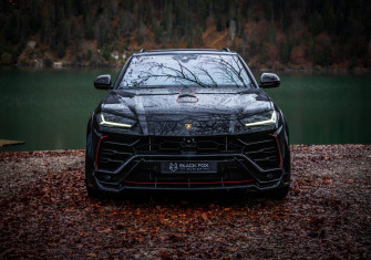 Black Fox