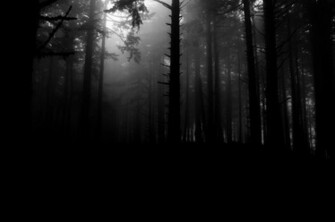 Game Wallpaper Limbo