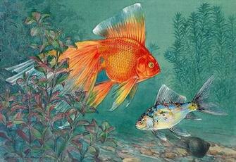 Swimming Goldfish Wallpaper Wall Mural Self Adhesive Multiple