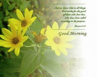Good Morning Wallpaper