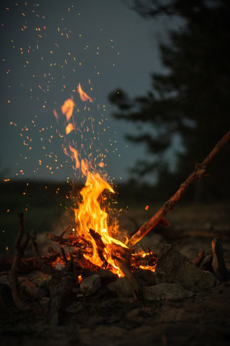 The Best Wood To Use As Firewood In A Campfire Wallpaper