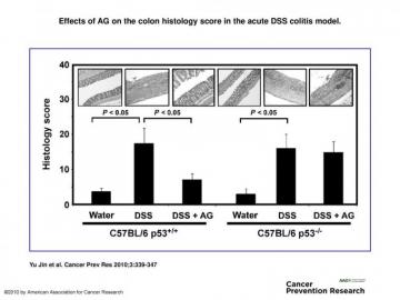 Effects Of Ag On The Colon Histology Score In Acute Dss