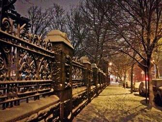 Surviving Snowstorm Nemo In New York And Boston Adventurous Kate