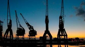Crane HD Wallpaper Background Image Id