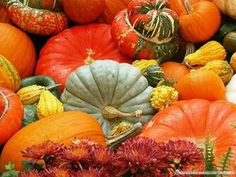 Fall Scenes Wallpaper With Pumpkins Wallcoo Net Photography