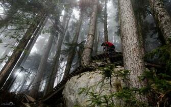 Mountain Bike Wallpaper Whistler Nsmb Wednesday