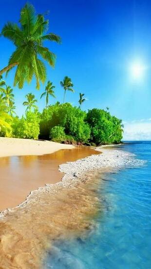 Tropical Island iPhone 5s Wallpaper S