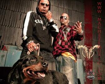 Wisin Y Yandel Con Un Rottweiler M Sica